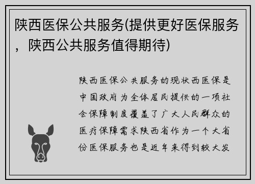 陕西医保公共服务(提供更好医保服务，陕西公共服务值得期待)